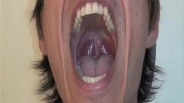 EVAN'S BIG MOUTH & TONGUE