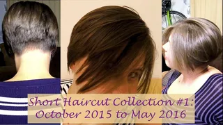 Haircut Collection #1: Oct 2015-May 2016 | Short Hair | Brunette | Clara Crisp