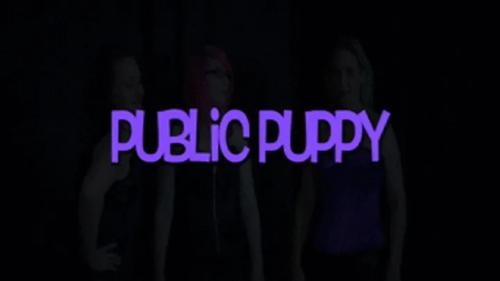 Public puppy