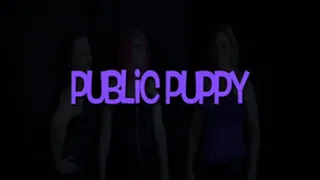 Public puppy