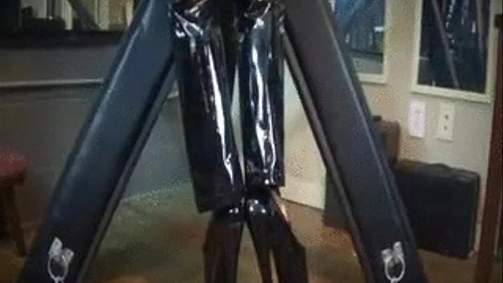 PVC Pants Adoration