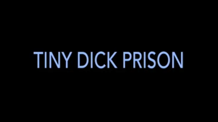 Tiny dick prison POV