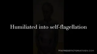 Humiliated into self-flagellation