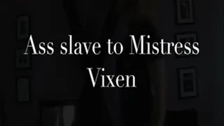 Ass slave to Mistress Vixen