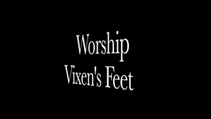 Worship Vixen's Feet