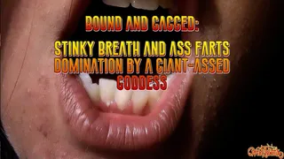 Bound and Gagged: Stinky Breath and Ass Farts Domination by a Giant-Assed Goddess