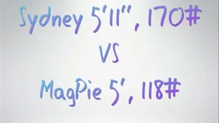 HP7: Sydney Vs. Magpie (Goliath vs. David)