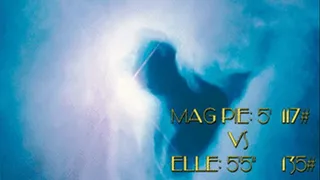 AW2: Mag Pie Vs. L