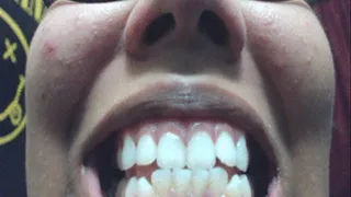 Mouth tour