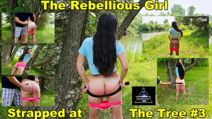 The Rebellious Girl - Strapped at the Tree #3