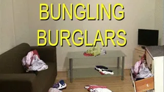 DF1478 Bungling Burglars