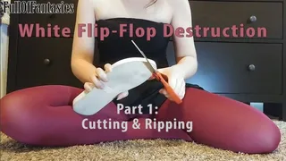 White Flip Flop Destruction (Part 1 of 3)