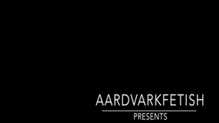 AardvarkFetish