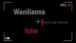 My big, enhanced vulva: