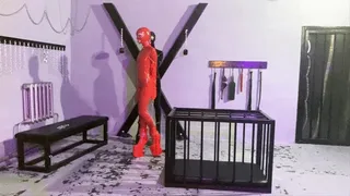 Perfect Rubber Dolls