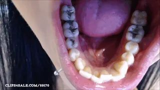 Mouth Tour