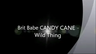 Brit Babe CANDY CANE - Wild Thing