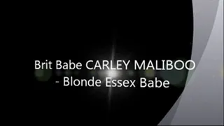 Brit Babe CARLEY MALIBOO - Blonde Essex Babe