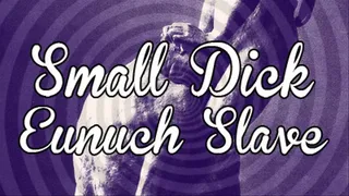 Small Dick Eunuch Slave