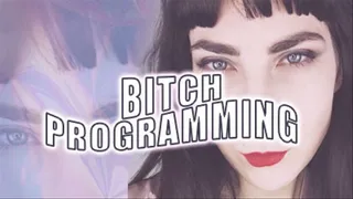 Bitch Programming