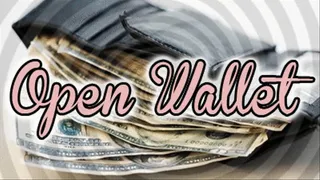 Open Wallet