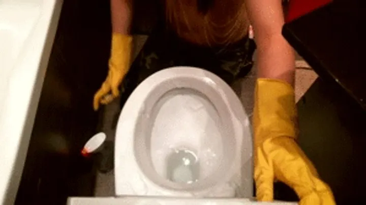 Cleaning toilet