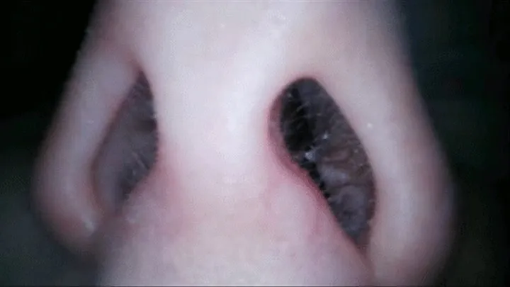 Endoscope: nose inspection