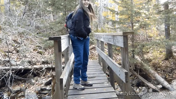 On the Footbridge & In the Headlights - (480x270)