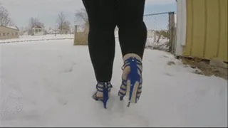 Blue heels in the snow