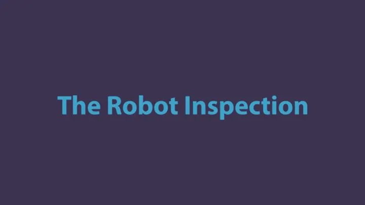 The Robot Inspection