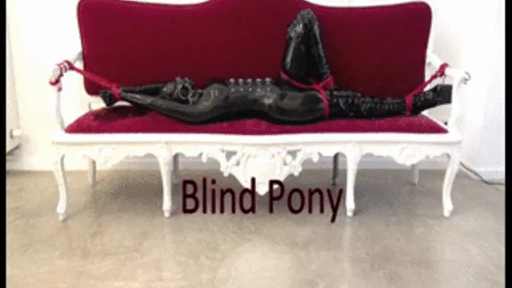 Blind Pony