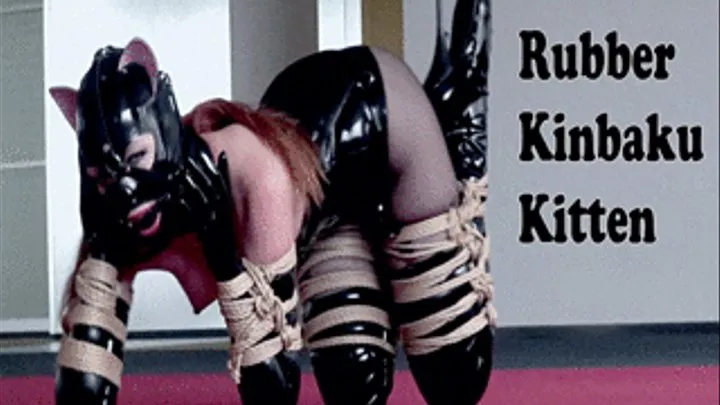 Rubber Kinbaku Kitten