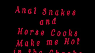 Anal Snakes and Horse Cocks Make me Hot in the Cheeks - Full - 360