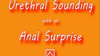 Urethral Sounding With Anal Surprise