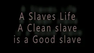 A Slaves Shower