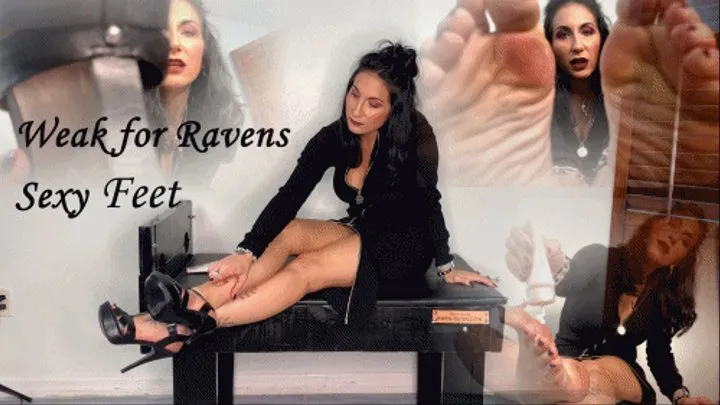 WEAK 4 TEMPTRESS RAVENS SEXY SOLES