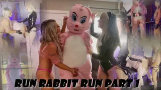 RUN RABBIT RUN Pt 1