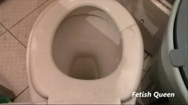 Ass from behind in toilet