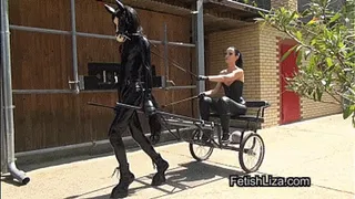 Human Pony Ride