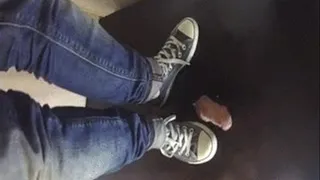 Converse Chucks sneakers Shoejob and Cockcrush - tramplegirls view