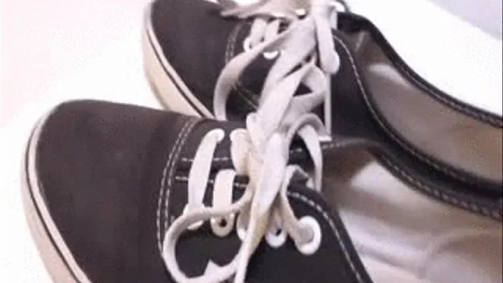 Vans authentic lo pro - Shoejob and Trampling - slave