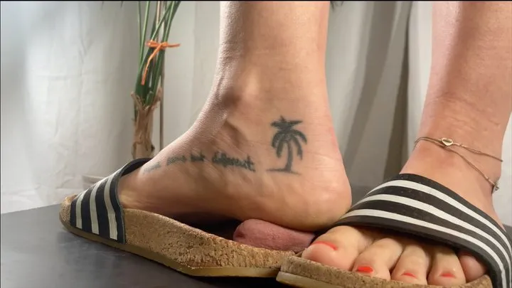 A Shoejob Dream in Tramplegirls Adidas Summer Sandals - CBT and Inshoe Cockcrush and Cumshot in Adidas Adilette - multi