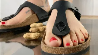 A crushing experience in Birkenstock Gizeh Sandals - Peanut crush, POV and underglass views