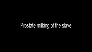 Anal stimulation of the slave!