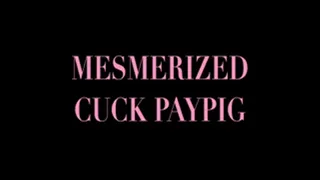 Mesmerized Cuckold Paypig