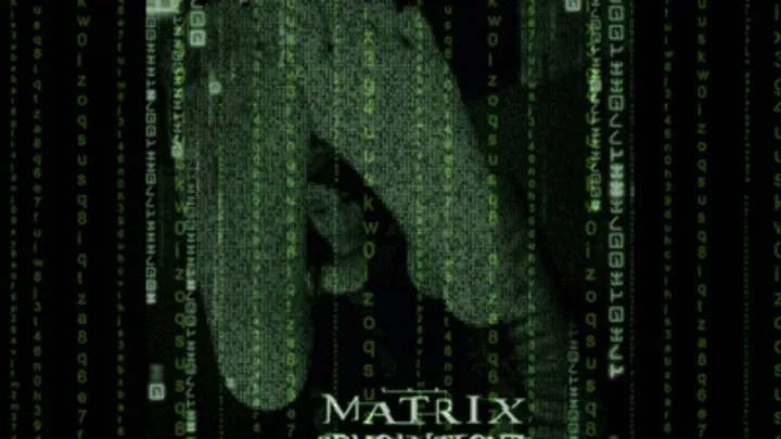 The Matrix Revolutions