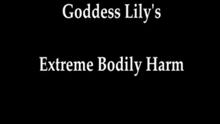 Goddess Lily's Extreme Bodily Harm (Part 1)