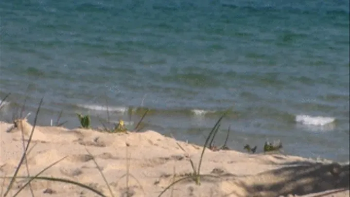 GIANTESS DESTROYS A BEACH