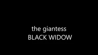 the gorgeous BLACKWIDOW MARVEL holds you in her teeth and
