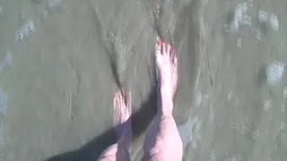 Tempest showing off in the sand